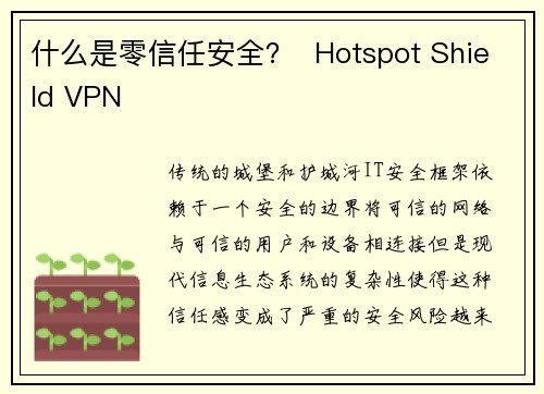 什么是零信任安全？  Hotspot Shield VPN