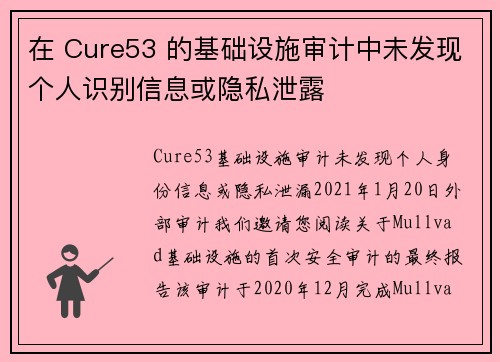 在 Cure53 的基础设施审计中未发现个人识别信息或隐私泄露 